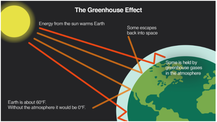 The greenhouse effect