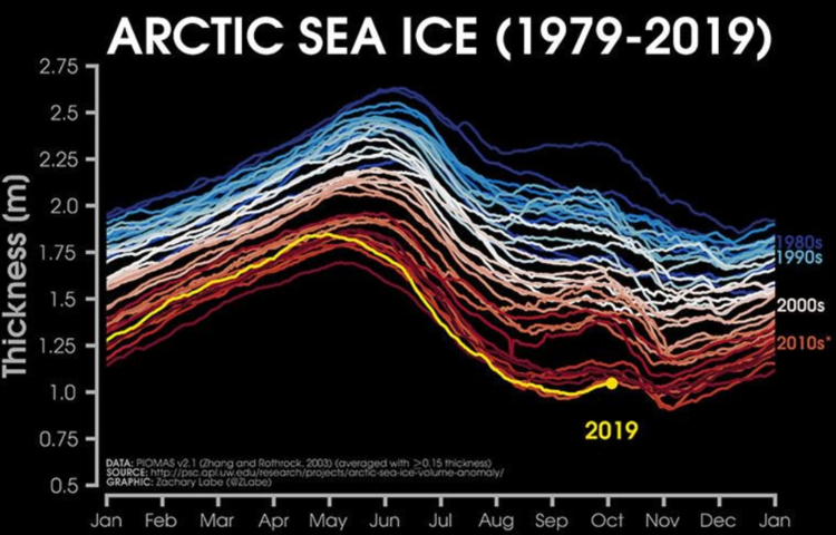 Arctic sea ice_1979-2019