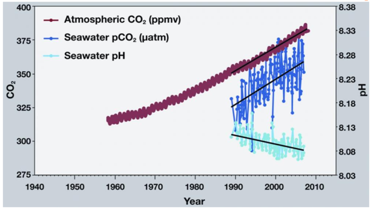 Chart - PMEL/NOAA