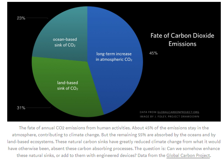 Fate of carbon dioxide emissions