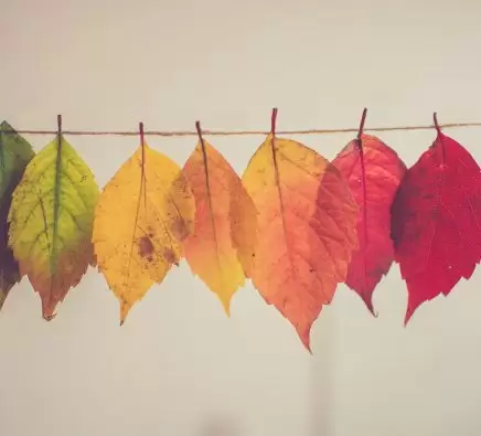 Net Zero: Transition from Exhaustive to Feasible?