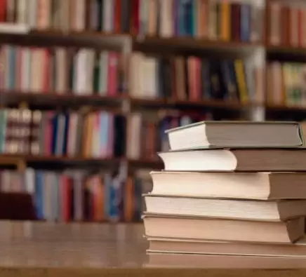 What Should I Read? The Great Books Vs. Articles Debate Revisited